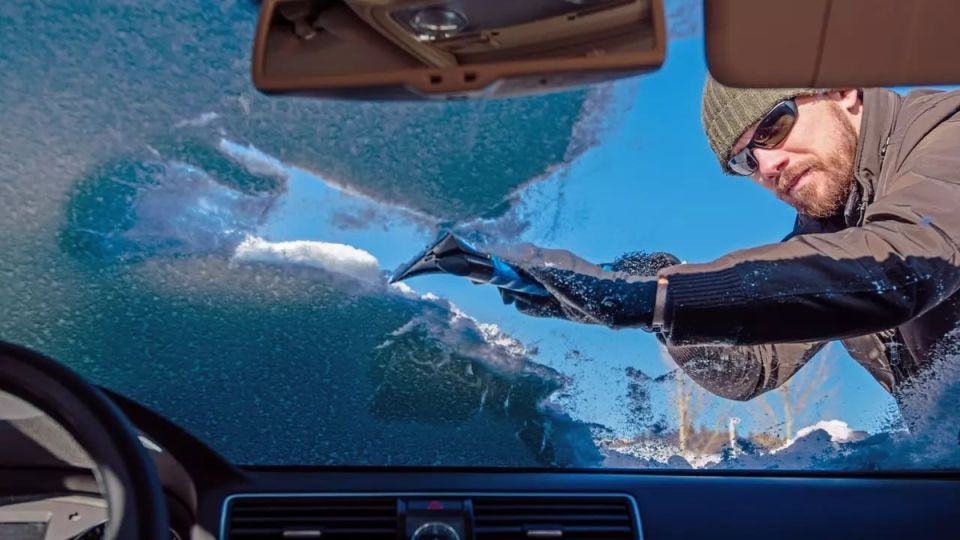 ������������� ������ �����������: ������������� ���������� ������� �����������