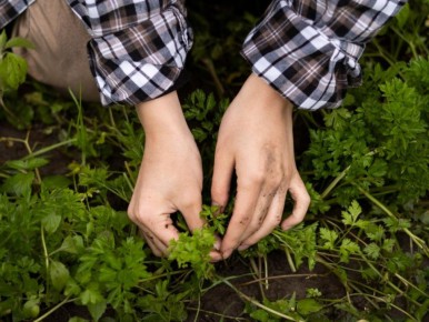 ������������ ������ ������ � ���������: ��� ������ �������� ����� ���������