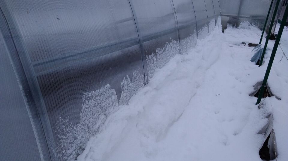 ��� ������ ������������ � �������� �������� ������ � ����� �� �����