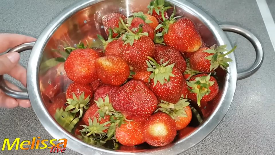 ������ �� ��������: ������� ������ �� ������ ���