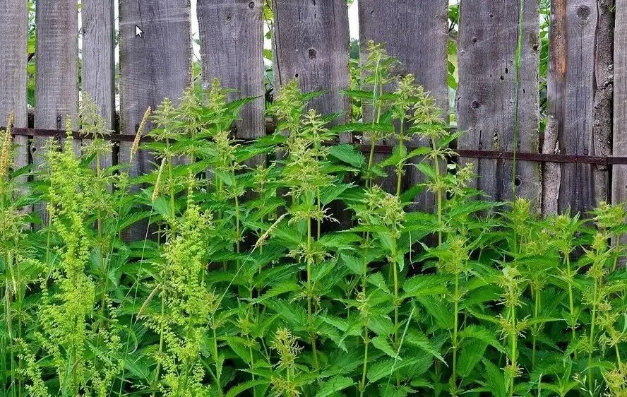 �������: ������� ���������� � ����������� � ��� ����� �����