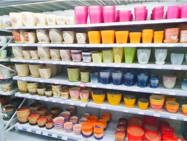 Когда дренаж для комнатных растений может быть излишним