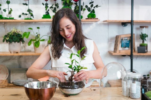 Как создать уютную комнатную теплицу: лучшие идеи и советы