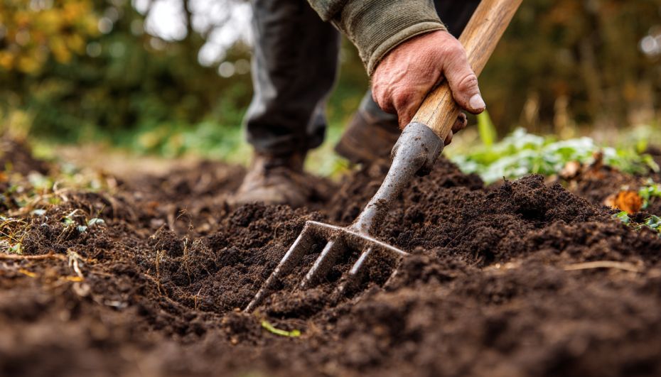 �������� � �������: ��� ������, ����� �� �������� ������