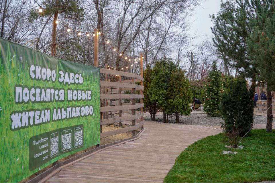 ������ � ���� ��������� � ����� ����������