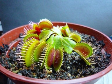 ��� ��������� ���������� � ����������, ����� ��� ���� ���������