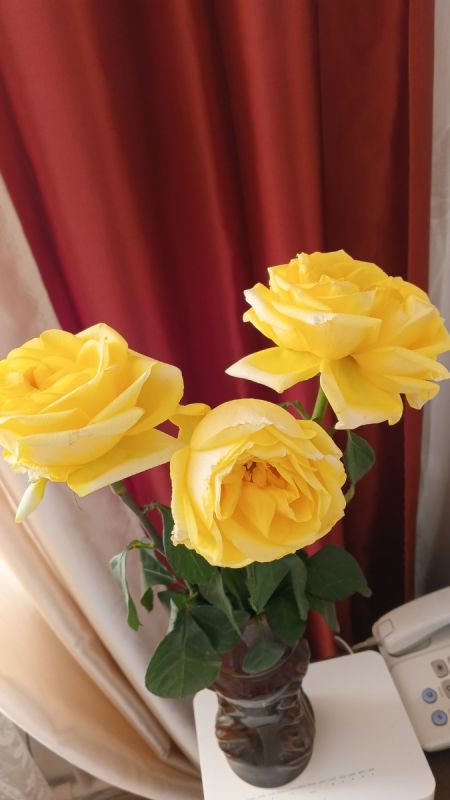 � 66-������! ��� ������ ������ ���� �������� � ����� �������