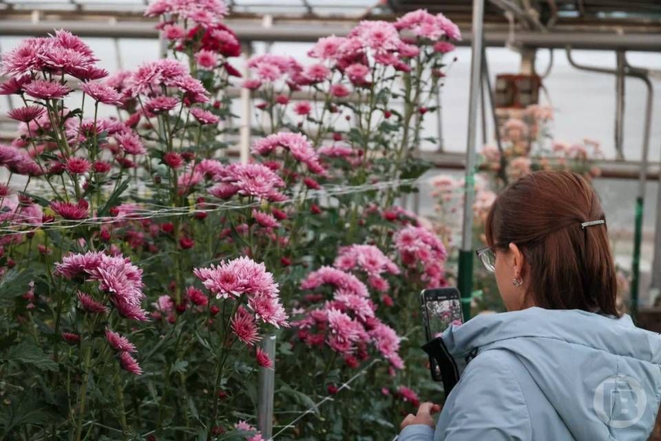 � 7 �� 21 ������� � ������������� ������������ ���� ������ VI �������������� �������� ������������� ��������, ������� �������� 16 ���