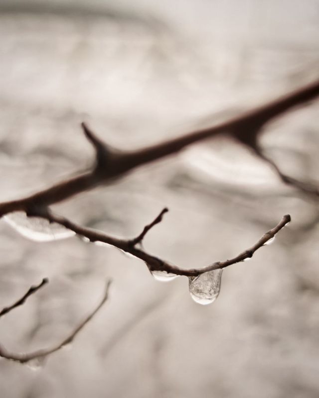 ��������� �������������� �������������� �������������� � ������ ��������� �������� ������� �� ���������� ������������� �������