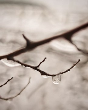 ��������� �������������� �������������� �������������� � ������ ��������� �������� ������� �� ���������� ������������� �������