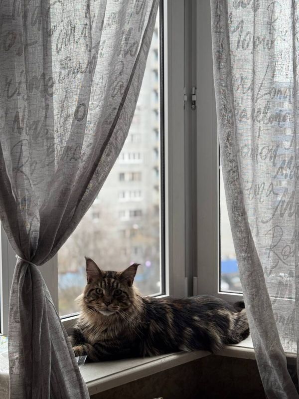 ������ ������� � �������� �������