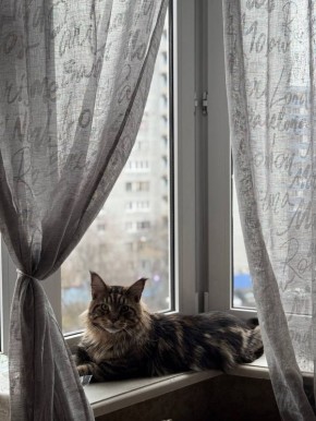 ������ ������� � �������� �������