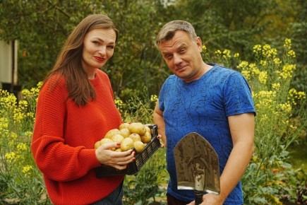 Как оптимизация работы на даче может увеличить урожай и сократить затраты