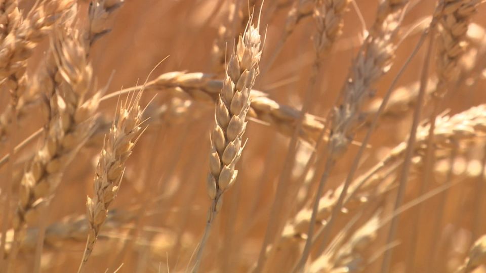 �������� �������� ����� � ������������� ������� �������� 8,8 ��� ���� � ��� � ������ 2026-��