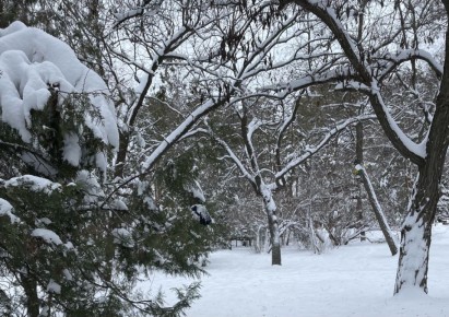 В Волгограде пожароопасный сезон начнется с 20 марта