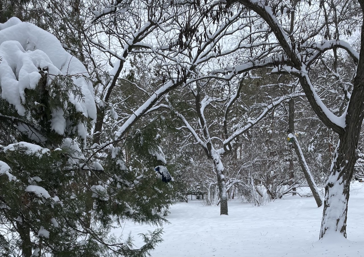 В Волгограде пожароопасный сезон начнется с 20 марта