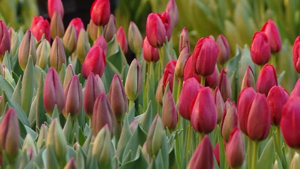 ��������������� ������ � ������ � ������������� ������� 8 �����: