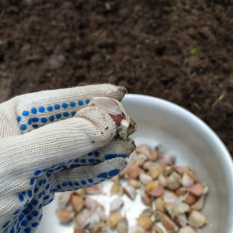 ��� ������, ���� �� ������ �������� ������ ������ ��� ����: ������� �������� �������