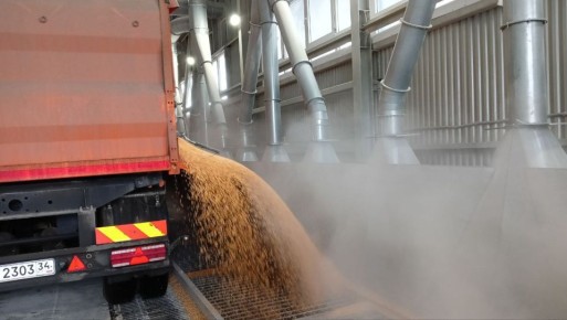 Волгоградская область наращивает мощности хранения зерна