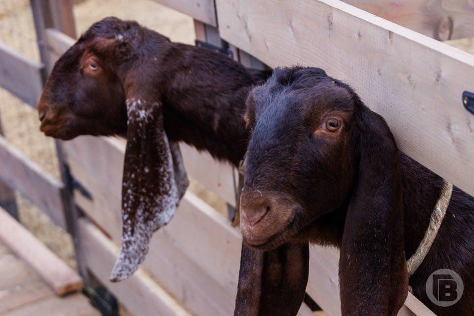 ���� � ������ ��������� � ����� ����������