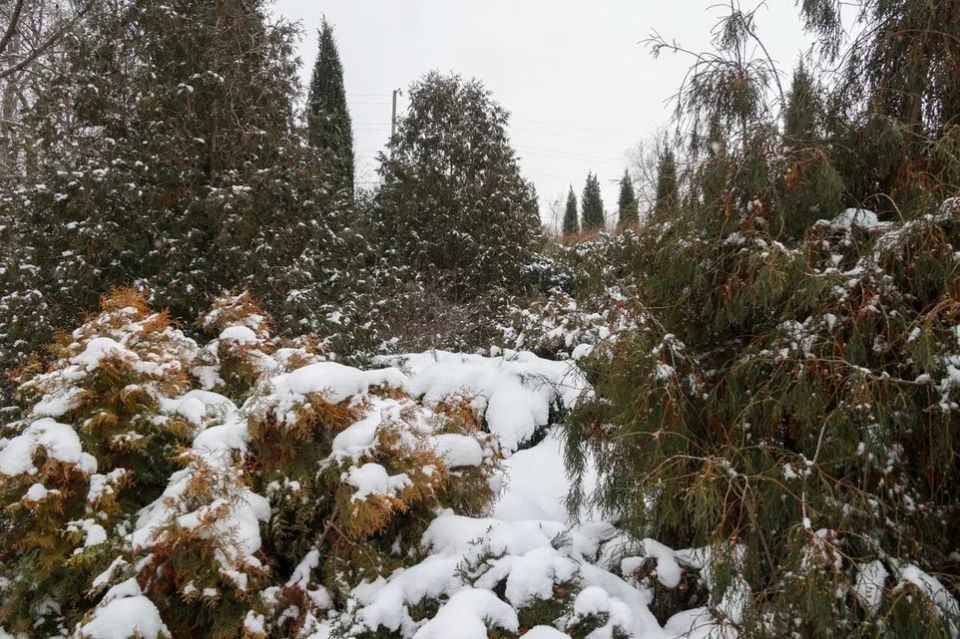 � ������������ �������������� ������� ���� ���������� � �������������� �������