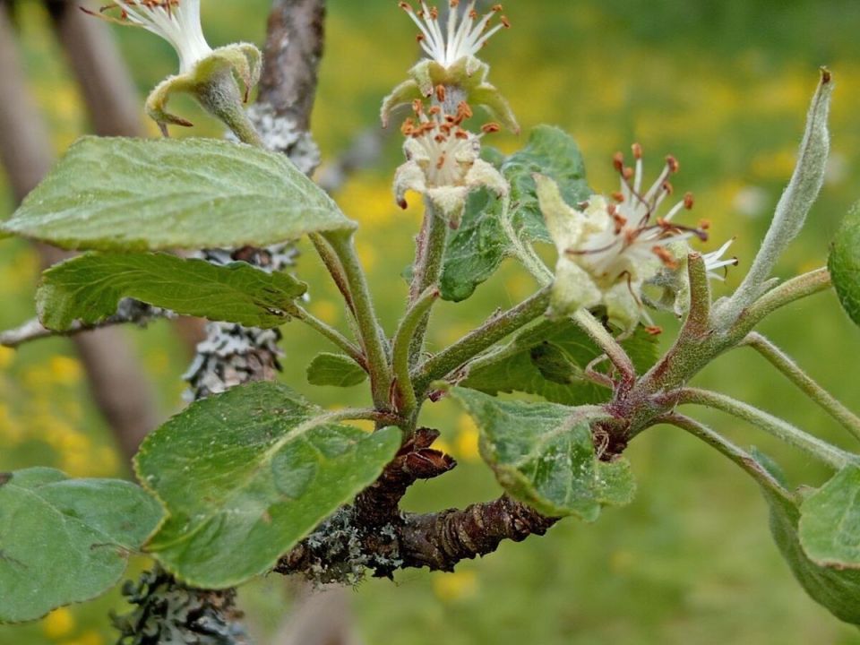 ��� �������� ������ �� �������: 20 � �� 10 � ��� ���������