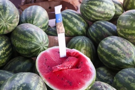 �������������� ������������� �������� �� ������ ������-��������� ��������� ����������� �������� ������������� �������