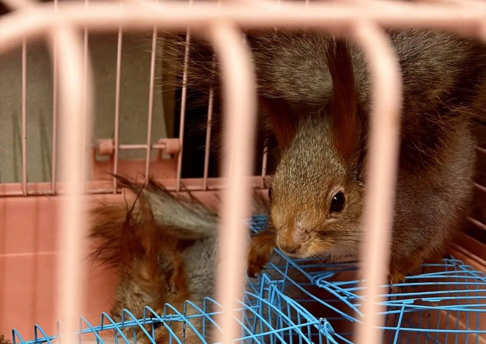 � �������� ���� ���������������� �������� ����� ������, ����, ����� � ��������