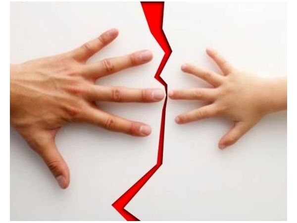 ������� ������������ ���� � 2026: ����� ����� �������� ������� �� ���������