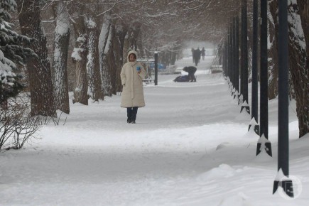 26 февраля - это Мартинианов день