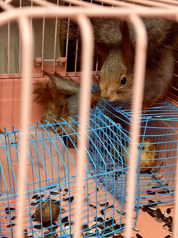 � �����, ���, ����� � �������� ��� � ����� "��������������"