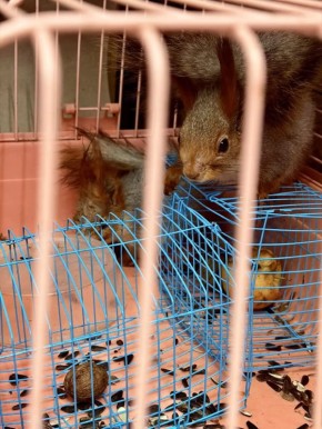 � �����, ���, ����� � �������� ��� � ����� "��������������"