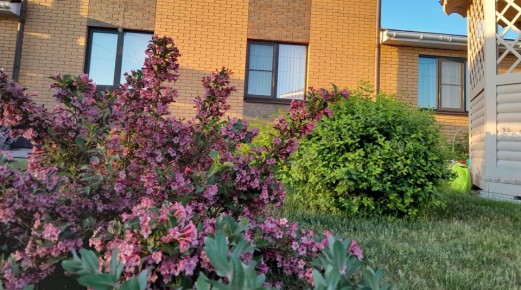 �������: ��������� �������� �����