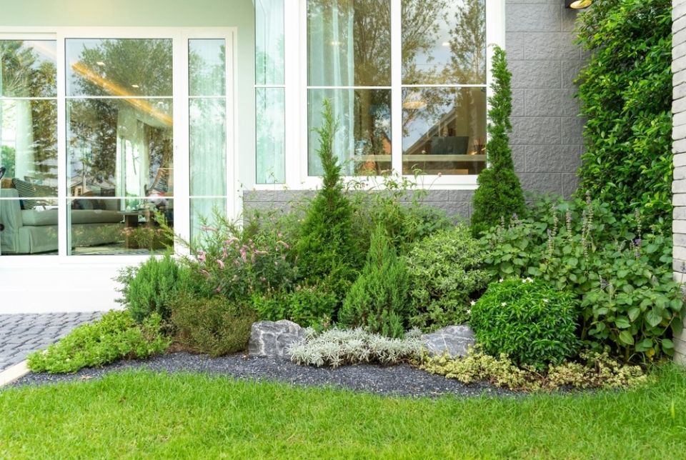 ��� ������� ��������� ������� � ����: ������ �� ������������ ���������