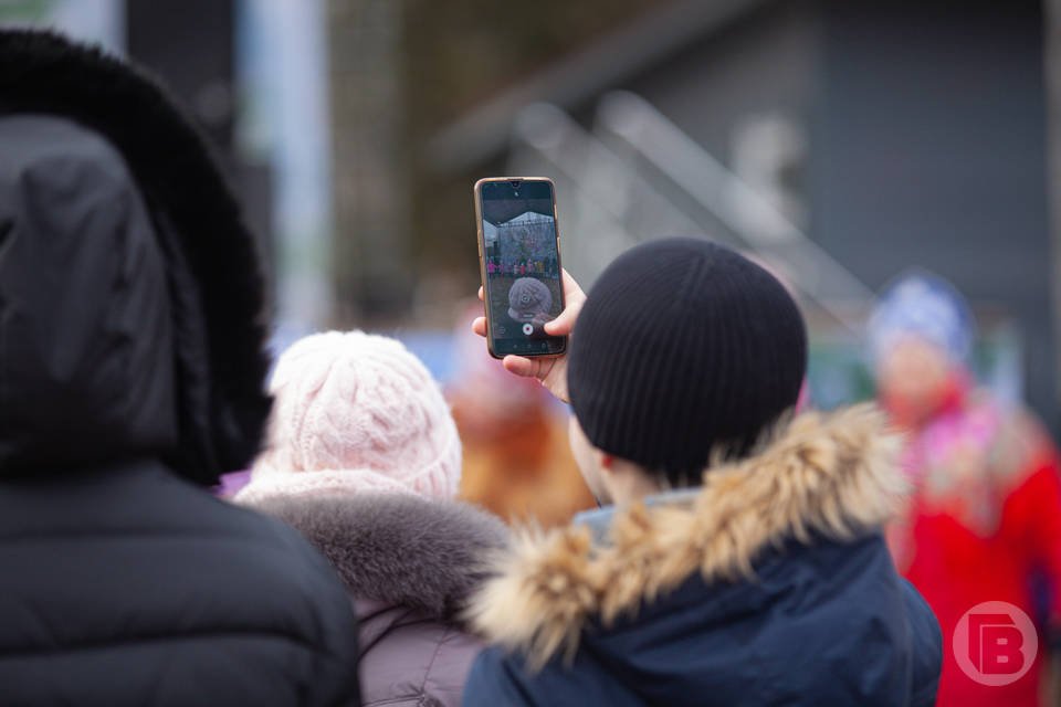 Опасные СМС, которые нельзя хранить в телефоне, назвали в Волгограде