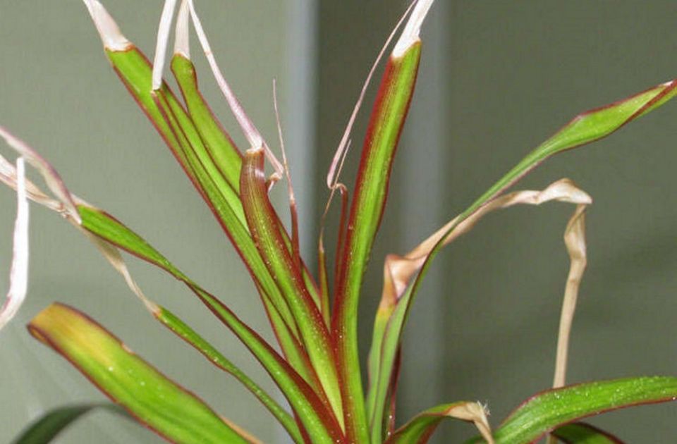 ������� ��������� �������� ������� ������� � ���� �� ����������