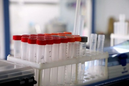 120,9 ������ ������������ ������ �������� �� ������� � � 2025 ����