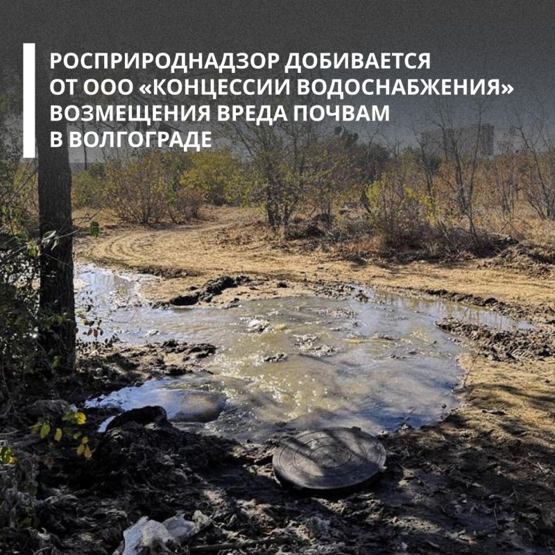 �����-�������� ��������������� ���������� ���������������� ��������� ��� ���������� �������������� ���������� � ������������ ���������� ����� ������ �� ����� ����� 11 ��� ������