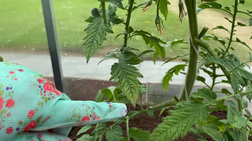 ��� ���������� �������� ������ �� 2 ������: ����������� ������ �������� ��������