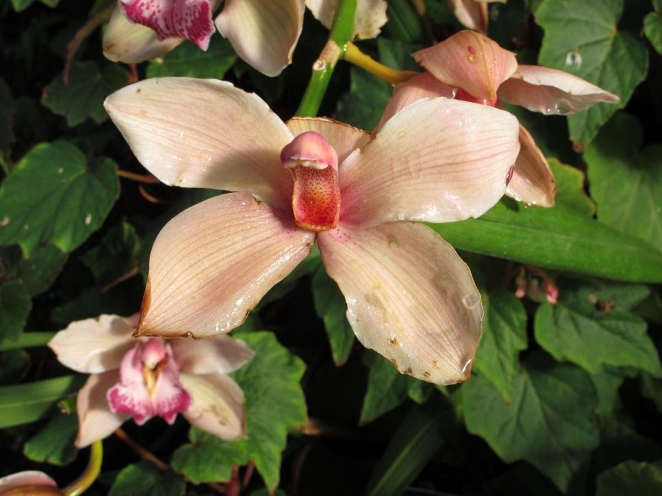 ��� ��������� �������� �������: ������ ��� ��������� ����������