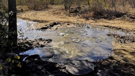 Разлив сточных вод возле волгоградского дендрария нанес ущерб на 11,2 млн рублей