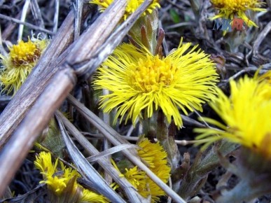 ������ ������ ������ ������� � ������������ ���� ���