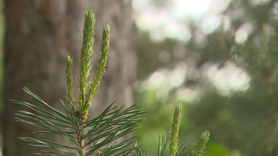 ������ ������ ����� ������� � ������������� ������� ���������