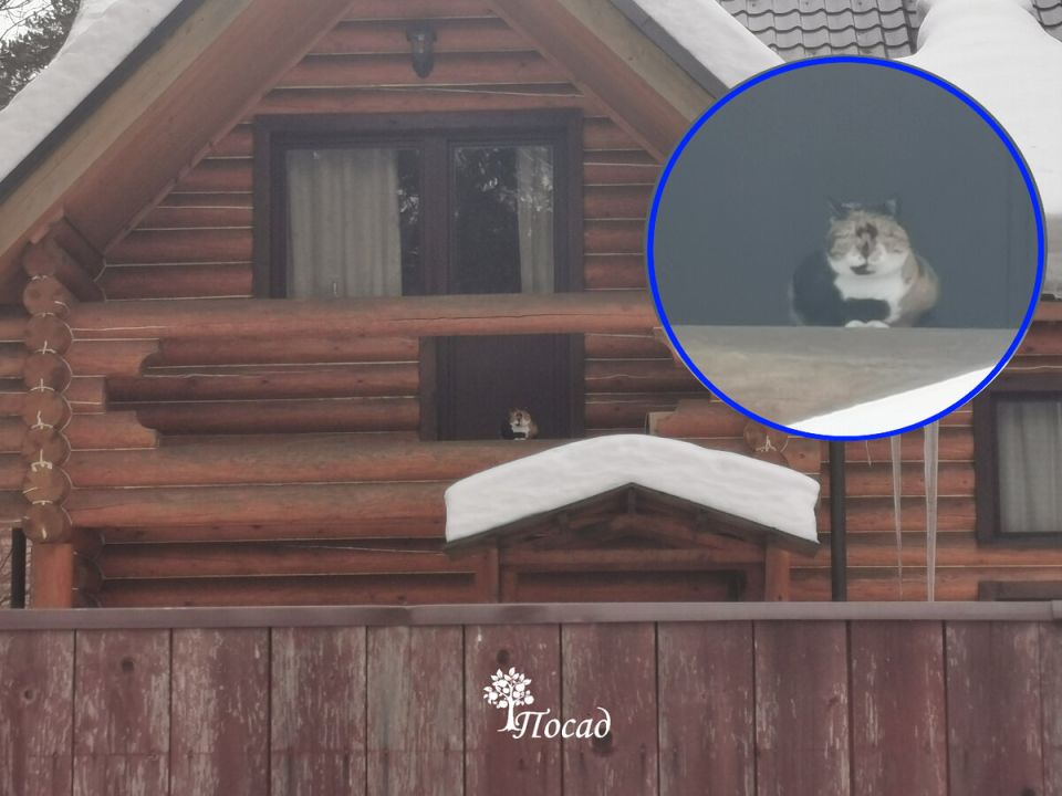 ��������� ������� �������: ������ ����� ���� � ���������� ���� �����������