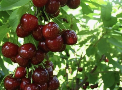 ����� � ��� ��������� �������� ������� ������