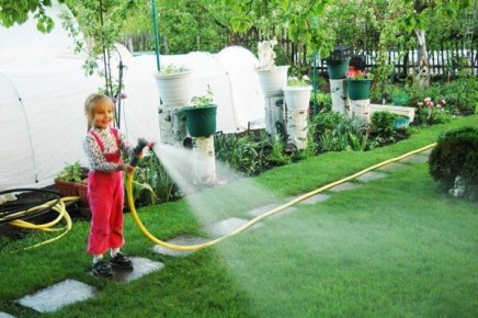 Как создать идеальный газон на даче: советы и рекомендации