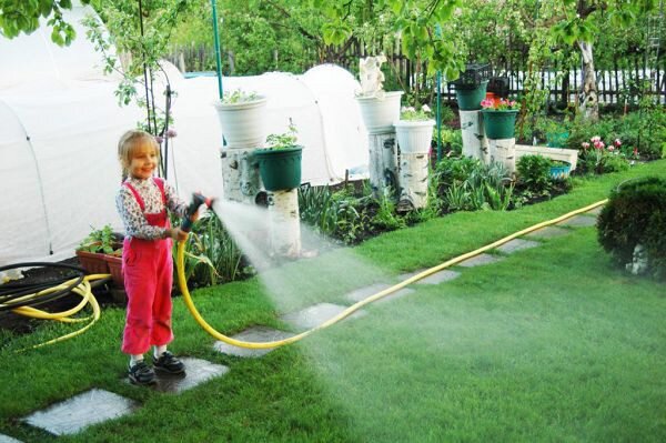 Как создать идеальный газон на даче: советы и рекомендации