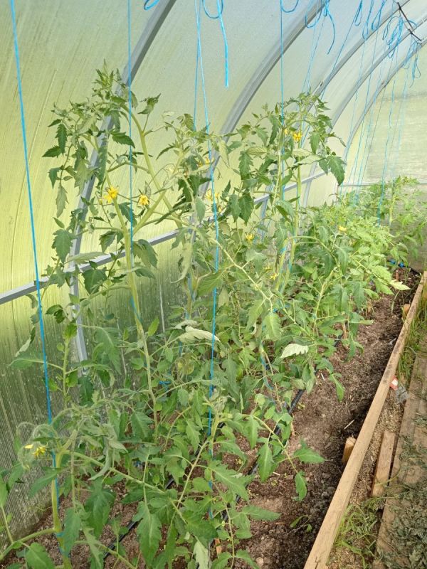 ��� ��������� ����������� ������ � ������� � ����� ����