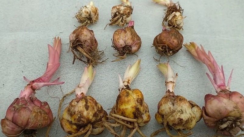 ��� �������� �������� ��� �� ��������� ������� � ������ ������