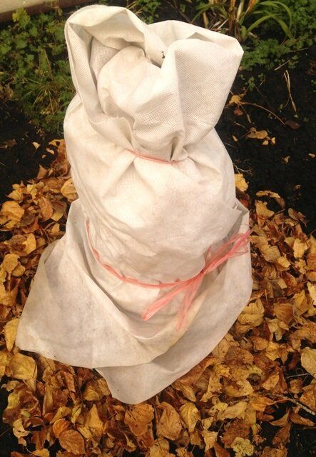 ��� ����������� ���� � ������ �������?